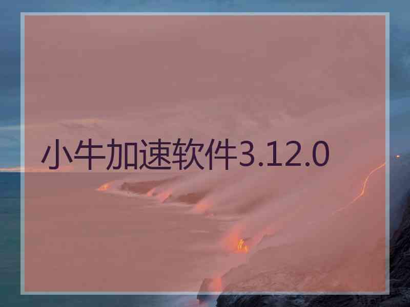 小牛加速软件3.12.0