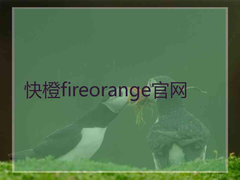 快橙fireorange官网