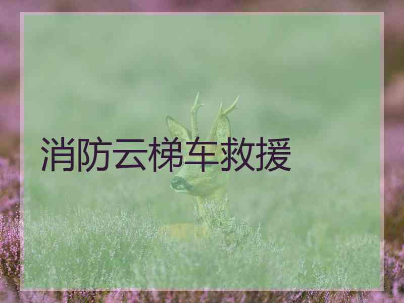 消防云梯车救援