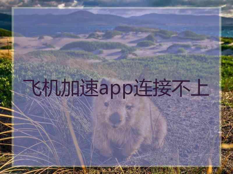 飞机加速app连接不上