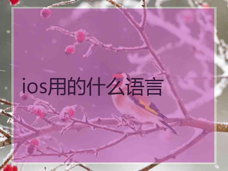 ios用的什么语言