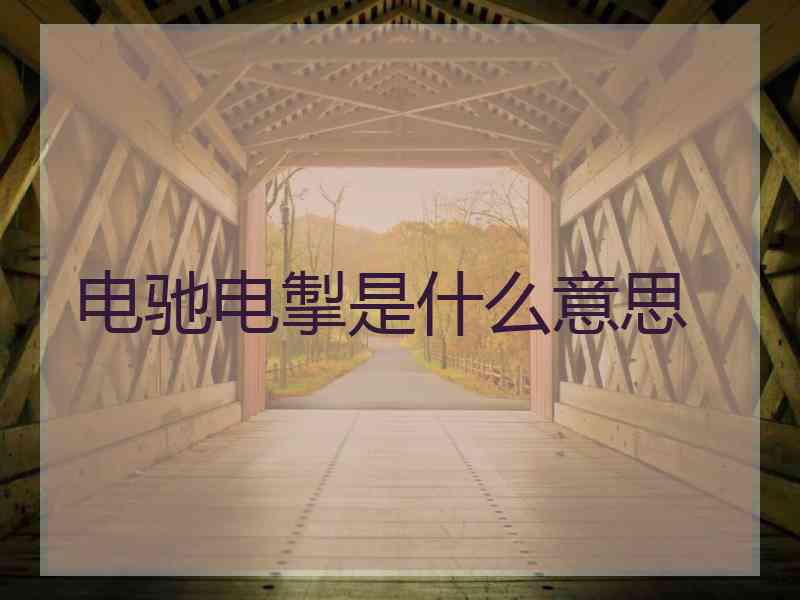 电驰电掣是什么意思