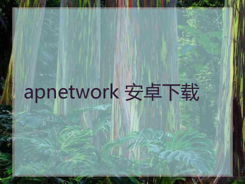 apnetwork 安卓下载