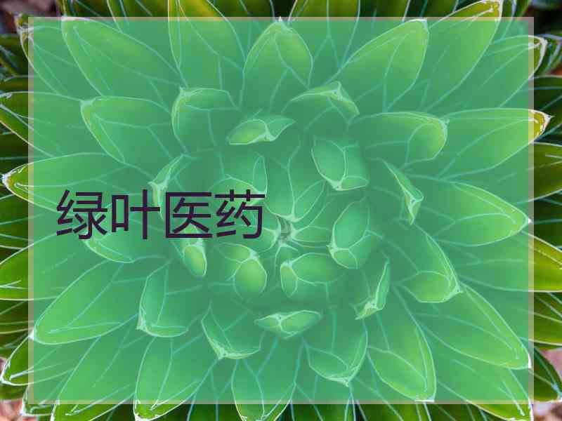 绿叶医药