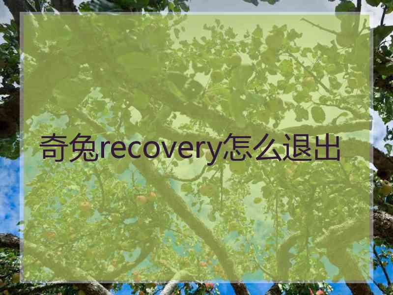 奇兔recovery怎么退出