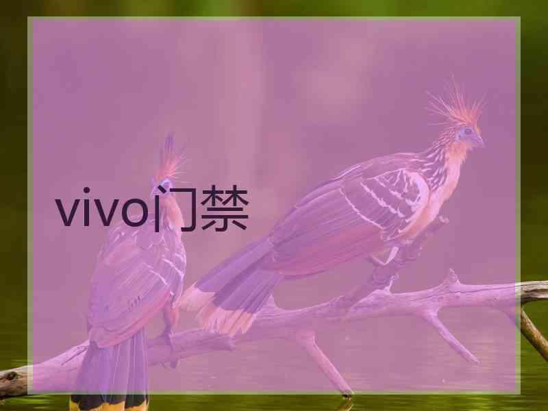 vivo门禁