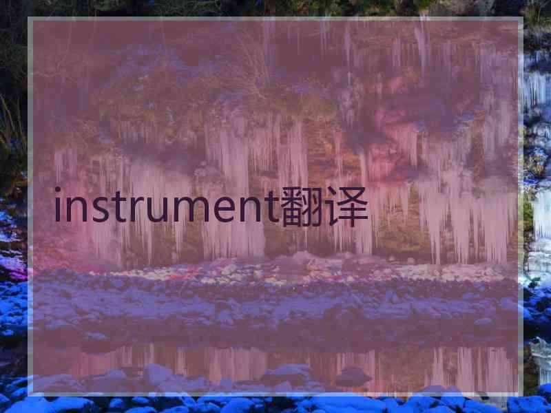 instrument翻译