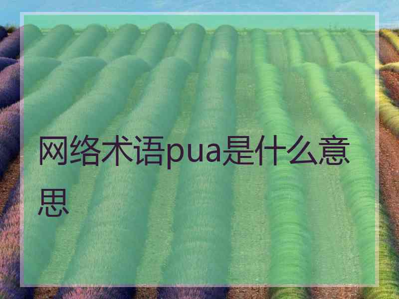 网络术语pua是什么意思