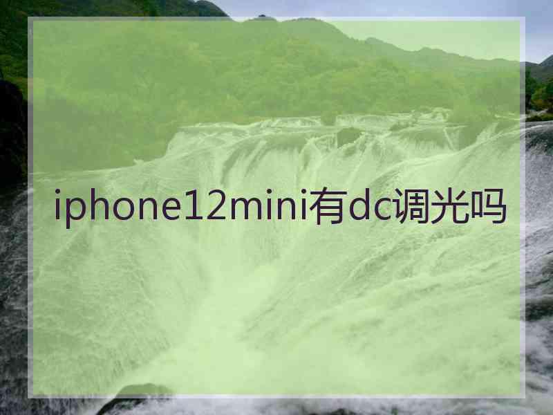 iphone12mini有dc调光吗