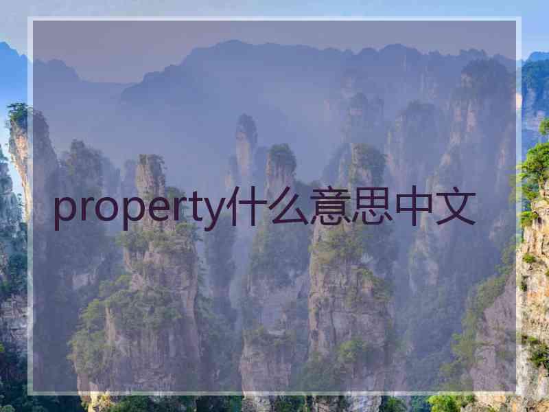 property什么意思中文