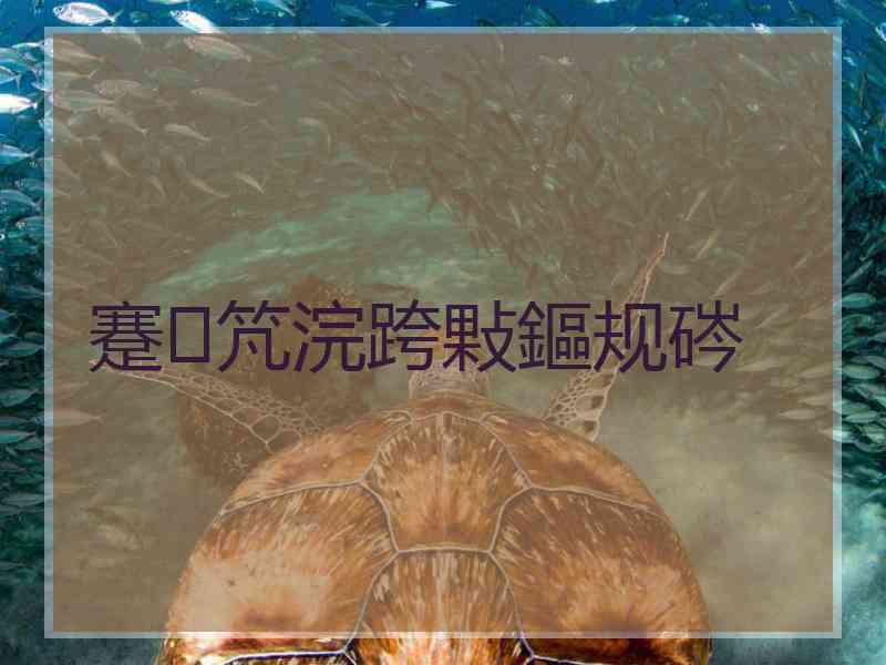 蹇竼浣跨敤鏂规硶