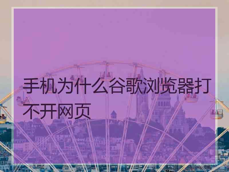 手机为什么谷歌浏览器打不开网页