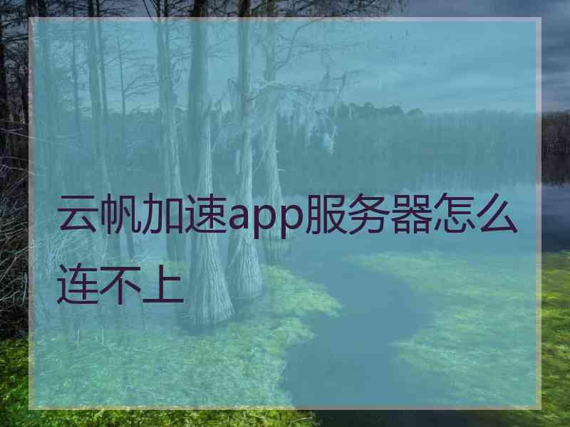 云帆加速app服务器怎么连不上