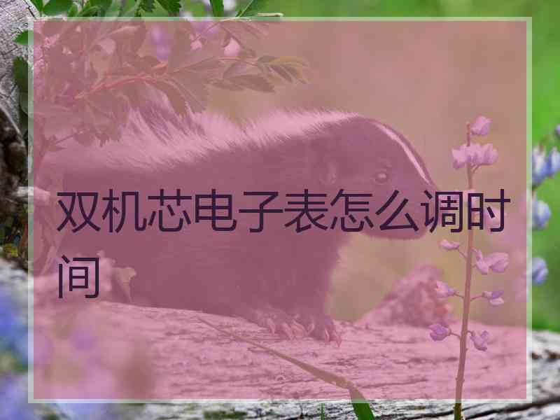 双机芯电子表怎么调时间