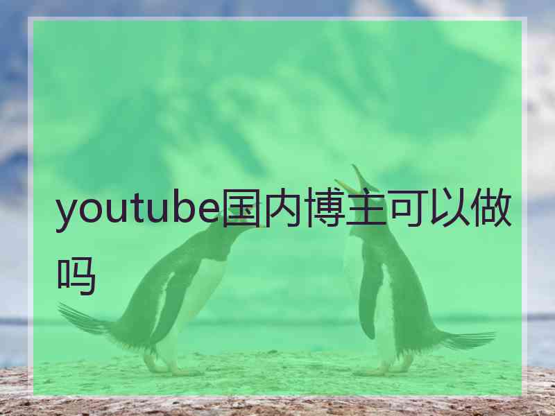 youtube国内博主可以做吗