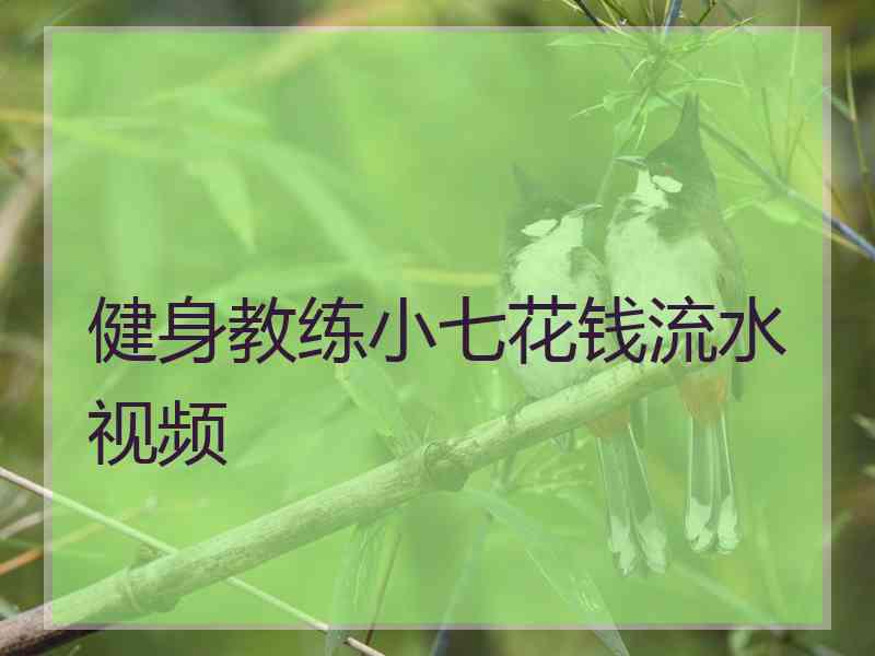 健身教练小七花钱流水视频