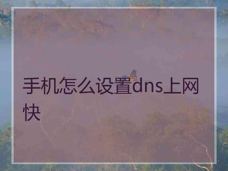 手机怎么设置dns上网快