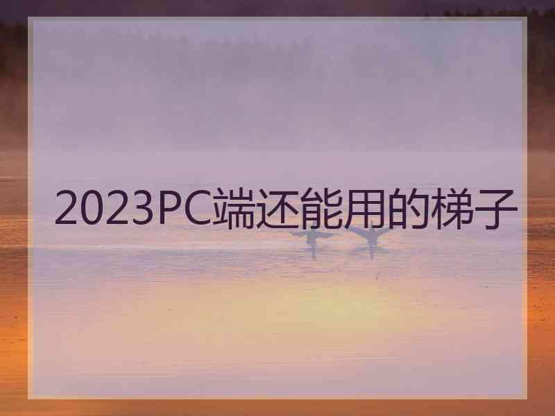 2023PC端还能用的梯子