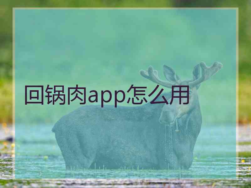 回锅肉app怎么用