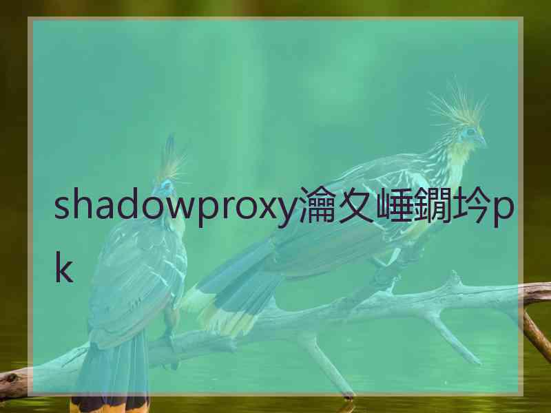 shadowproxy瀹夊崜鐗坅pk