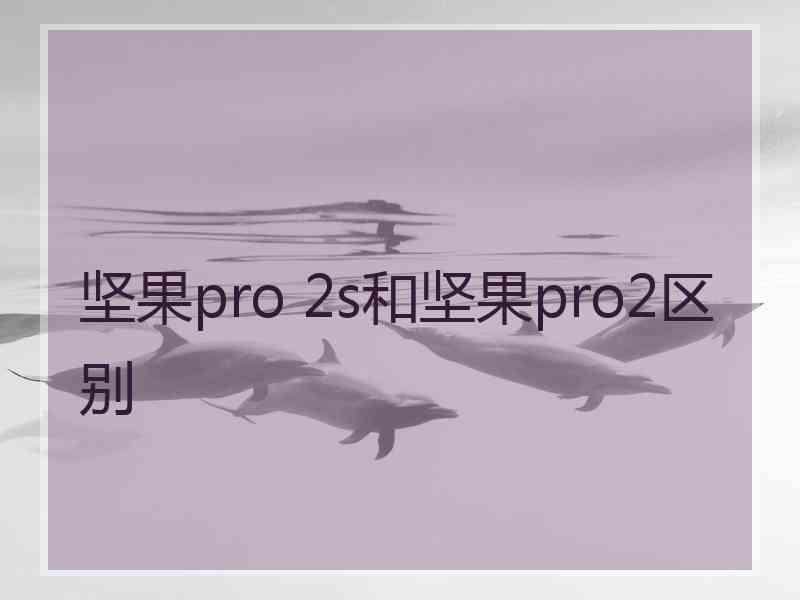 坚果pro 2s和坚果pro2区别