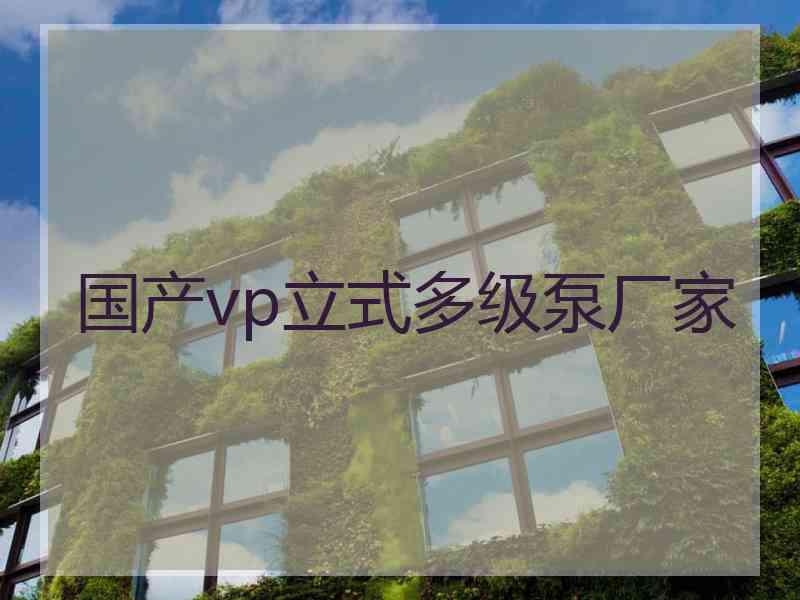 国产vp立式多级泵厂家