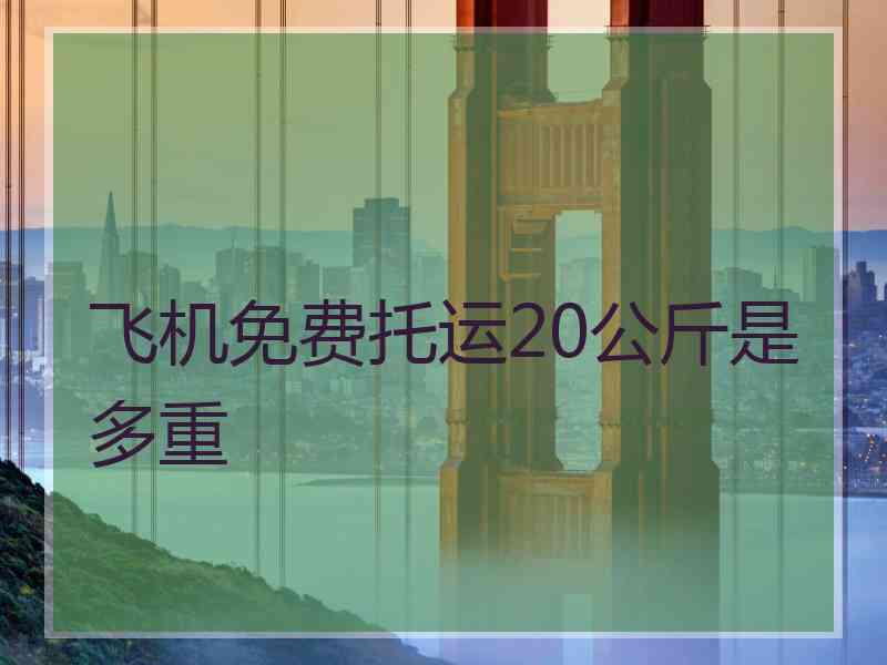 飞机免费托运20公斤是多重