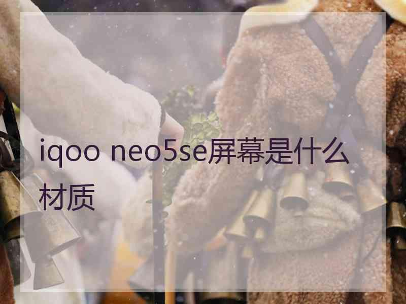 iqoo neo5se屏幕是什么材质