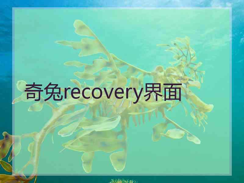 奇兔recovery界面