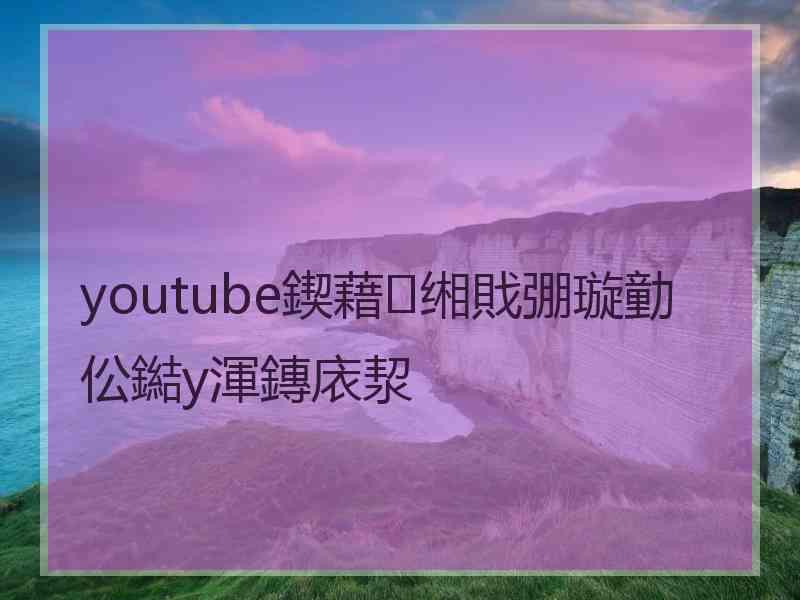 youtube鍥藉缃戝弸璇勭伀鐑у渾鏄庡洯