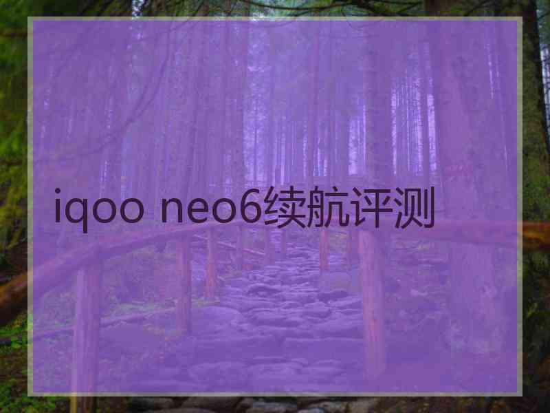 iqoo neo6续航评测