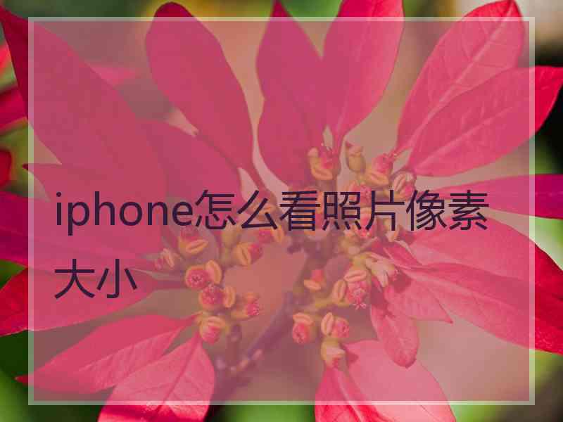 iphone怎么看照片像素大小