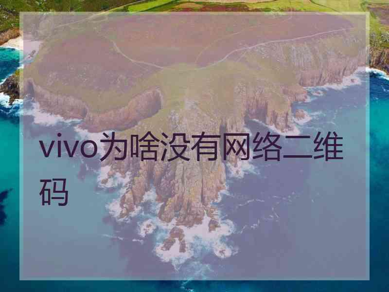 vivo为啥没有网络二维码