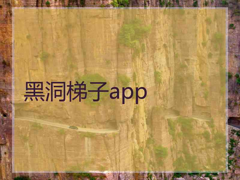 黑洞梯子app