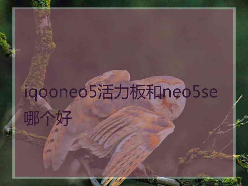 iqooneo5活力板和neo5se哪个好