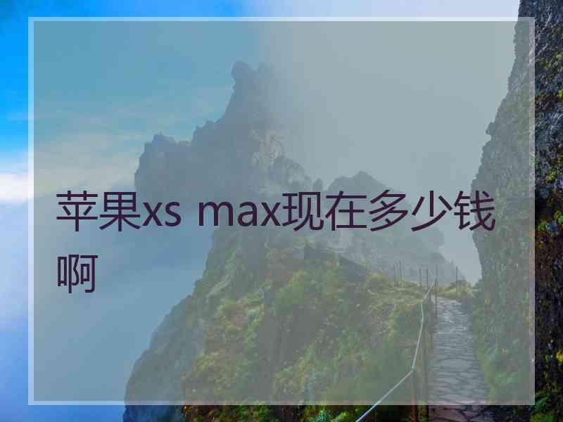 苹果xs max现在多少钱啊