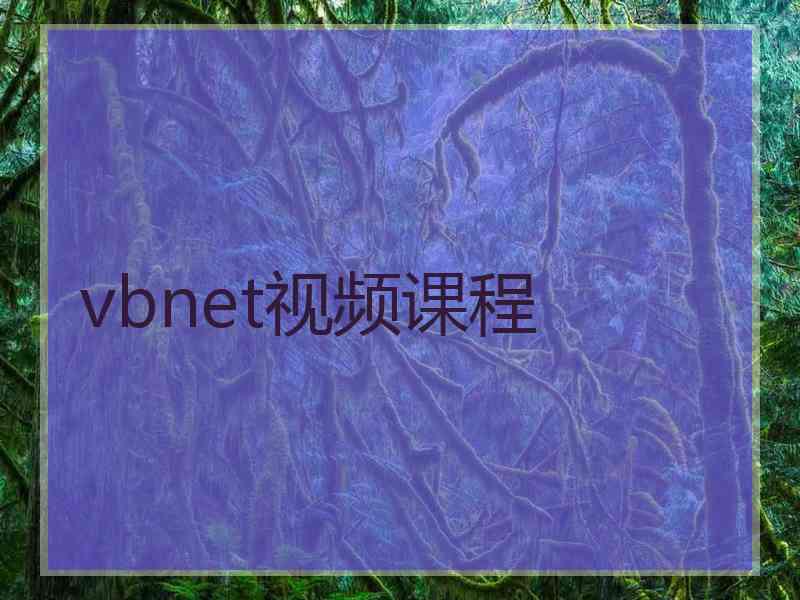 vbnet视频课程