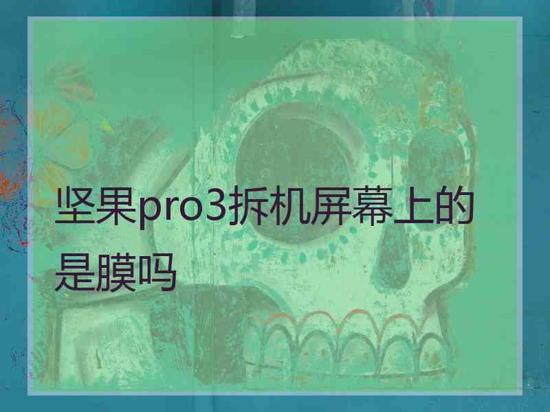 坚果pro3拆机屏幕上的是膜吗