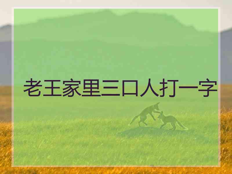 老王家里三口人打一字