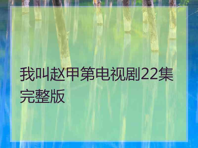 我叫赵甲第电视剧22集完整版