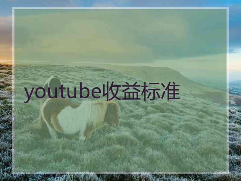 youtube收益标准