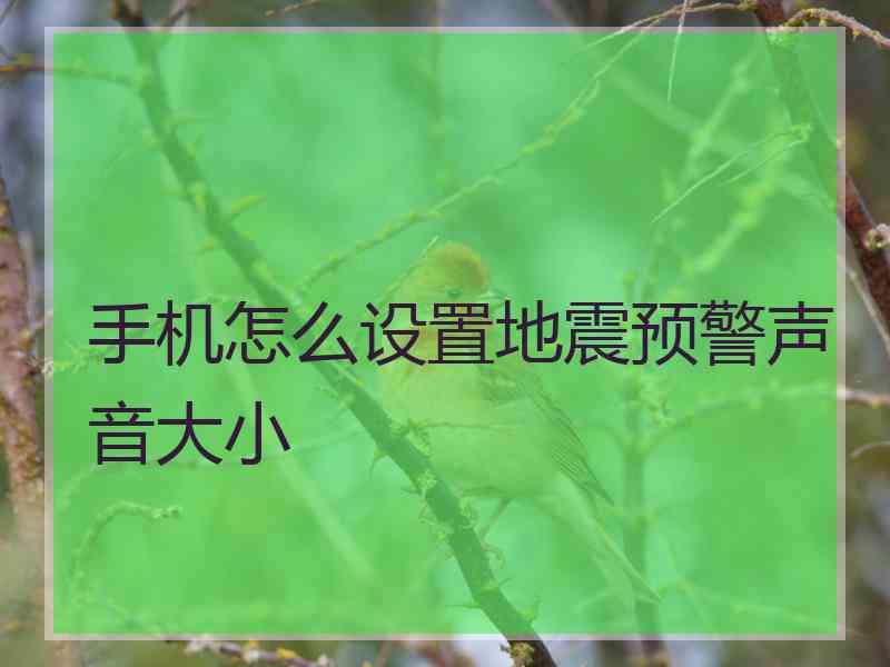 手机怎么设置地震预警声音大小