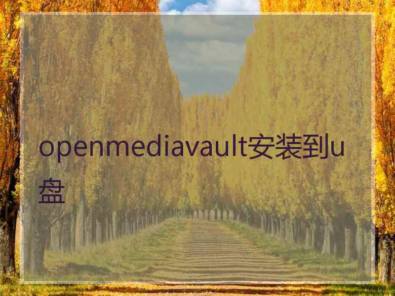 openmediavault安装到u盘