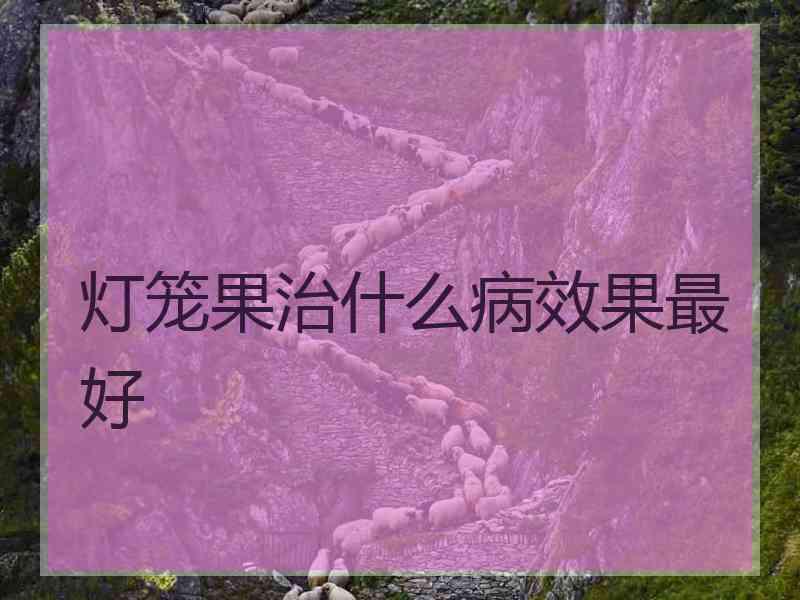 灯笼果治什么病效果最好