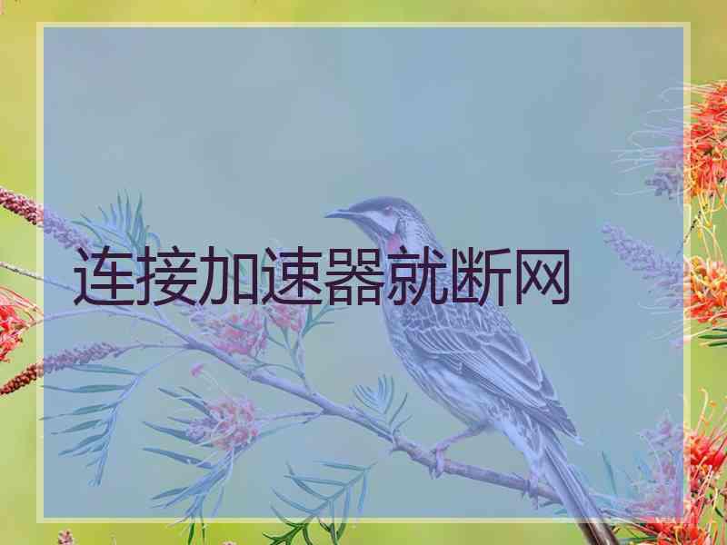 连接加速器就断网