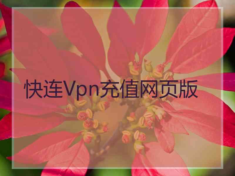 快连Vpn充值网页版