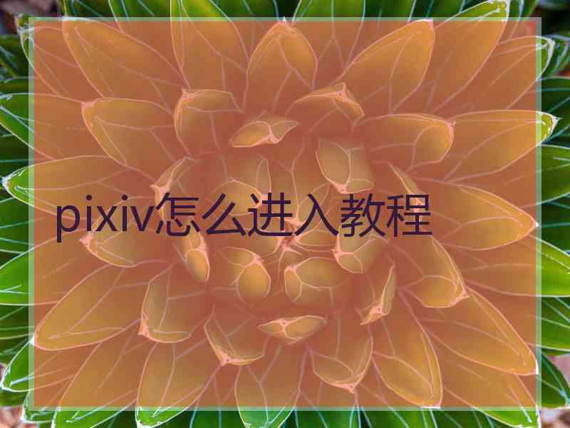 pixiv怎么进入教程