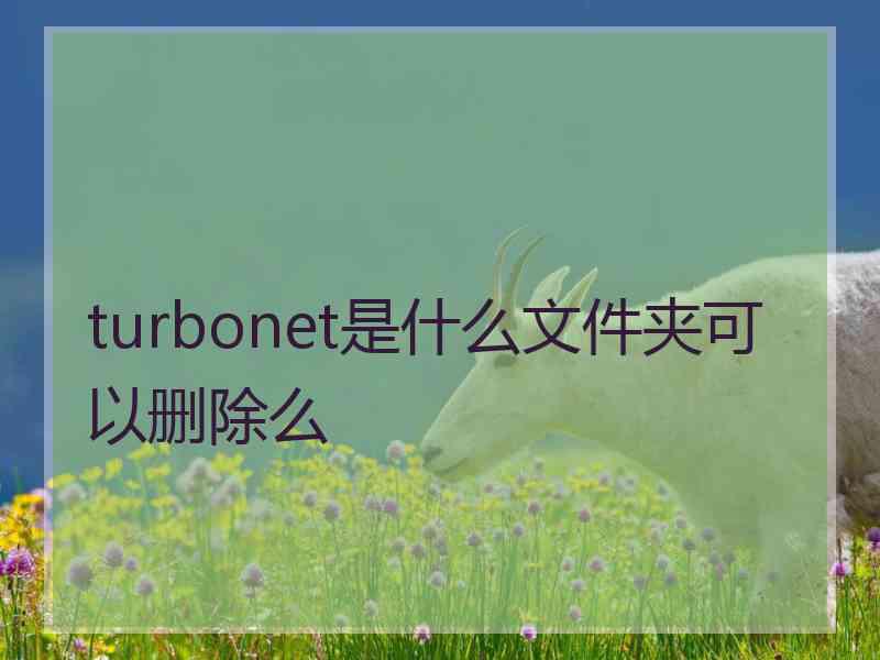 turbonet是什么文件夹可以删除么