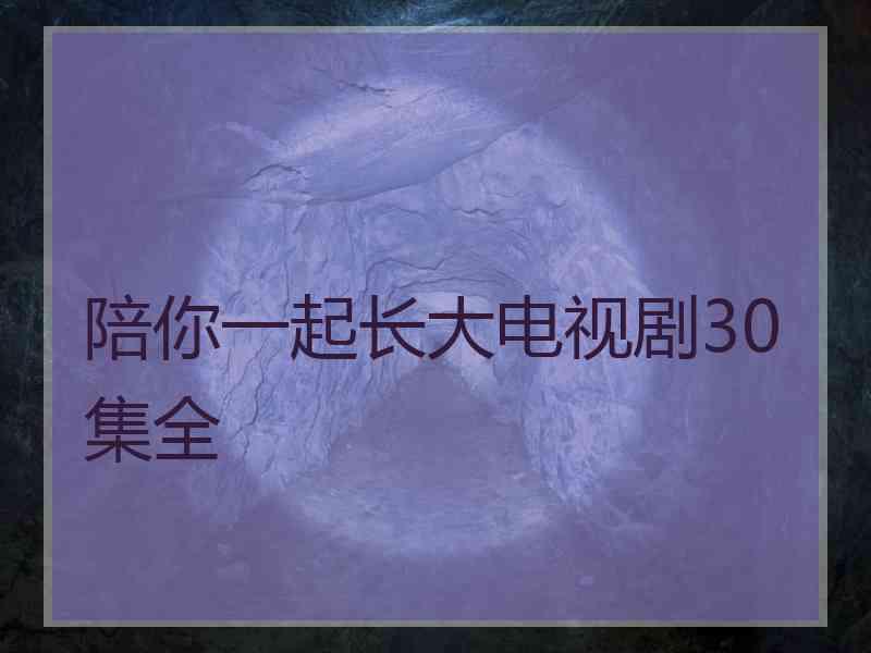 陪你一起长大电视剧30集全