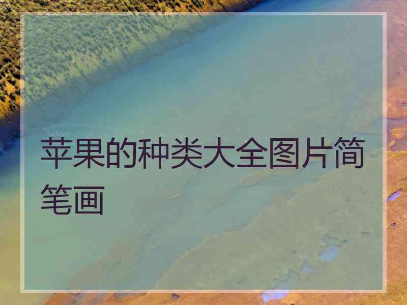 苹果的种类大全图片简笔画